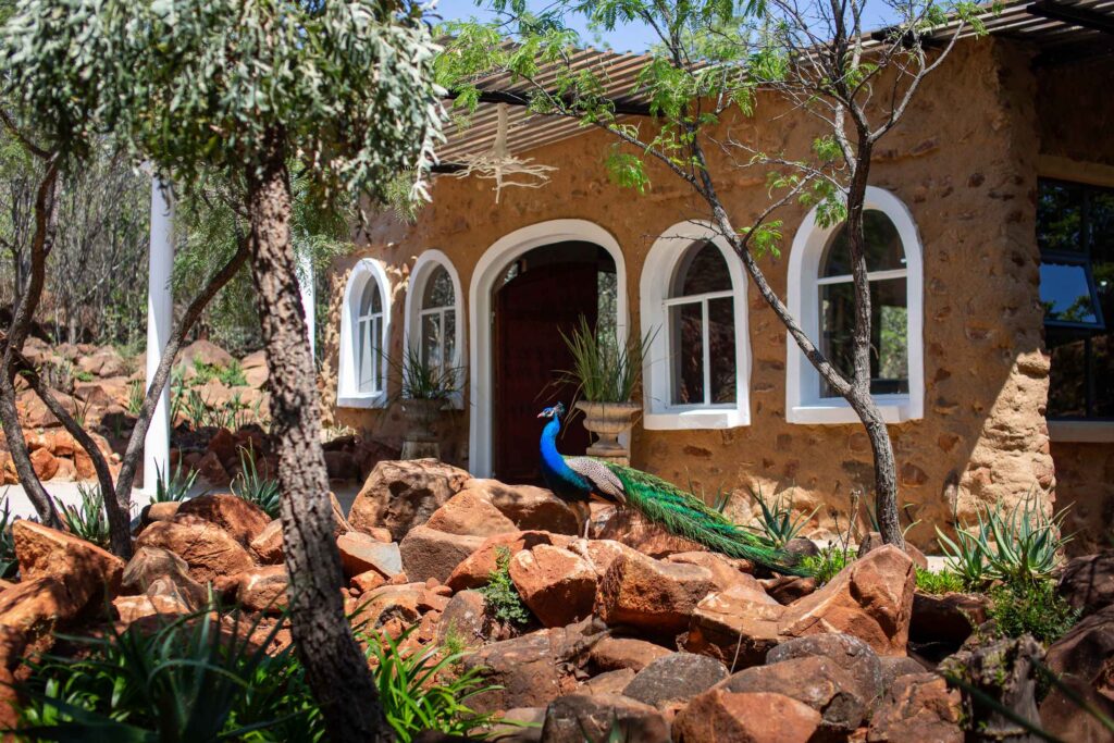 stony aloe venue