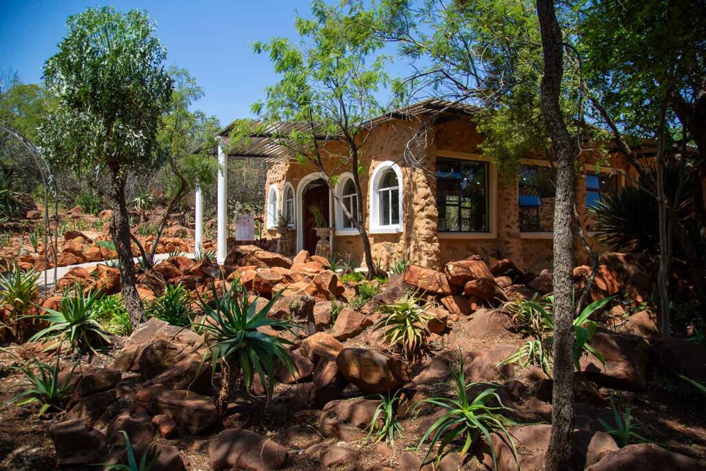 stony aloe venue